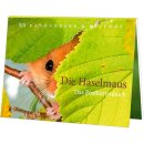 Postkartenbuch Die Haselmaus