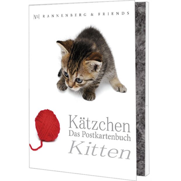 Postkartenbuch Kätzchen