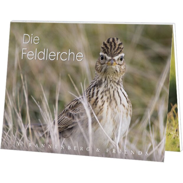 Postkartenbuch Die Feldlerche