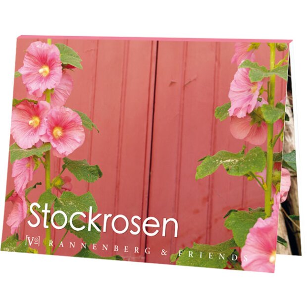 Postkartenbuch Strockrosen