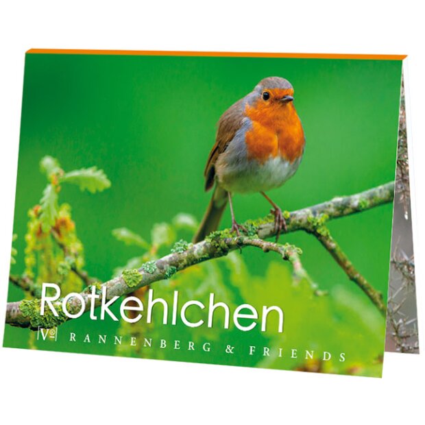 Postkartenbuch Rotkehlchen 