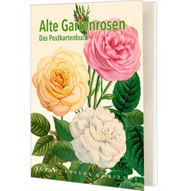 Postkartenbuch Alte Gartenrosen