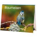 Postkartenbuch Blaumeise