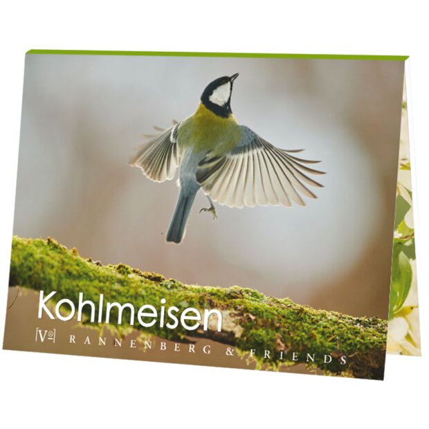 Postkartenbuch Kohlmeisen