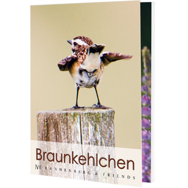 Postkartenbuch Braunkehlchen