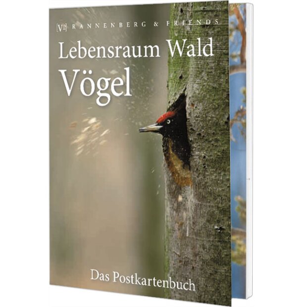 Postkartenbuch Lebensraum Wald Vögel